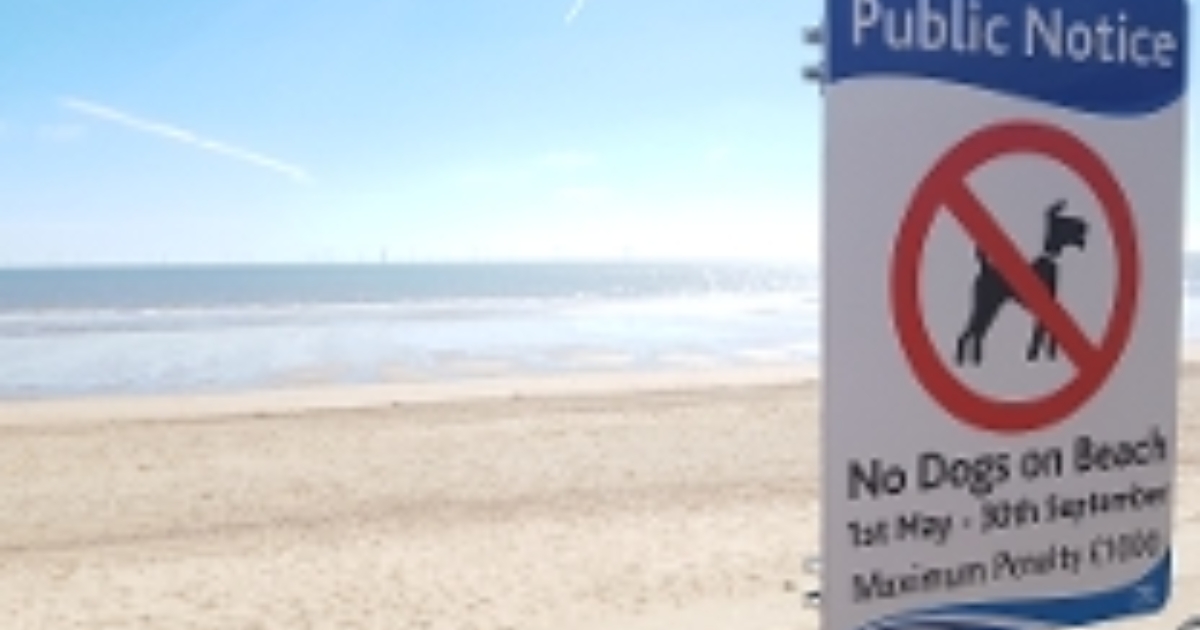 se permiten perros en el muelle de skegness