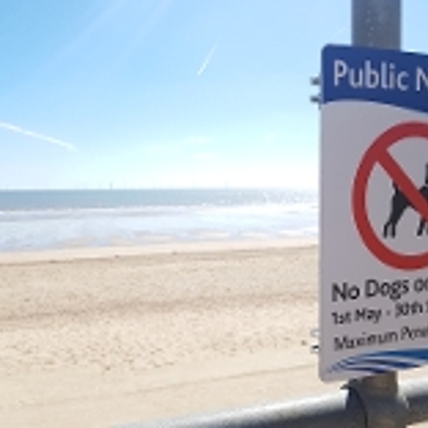 se permiten perros en el muelle de skegness