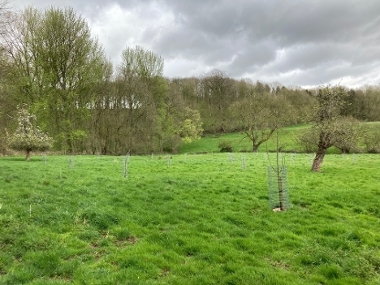 One of the 15 new community orchards created in South and East Lincolnshire