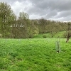 One of the 15 new community orchards created in South and East Lincolnshire