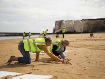 Drawing in the sand