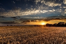 Lincolnshire Wolds